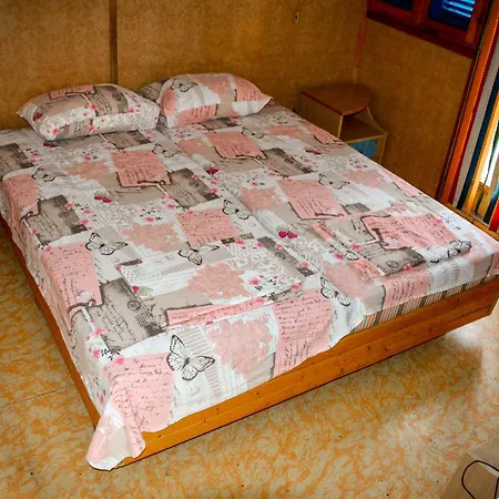 Albatross Retro Summer Varna