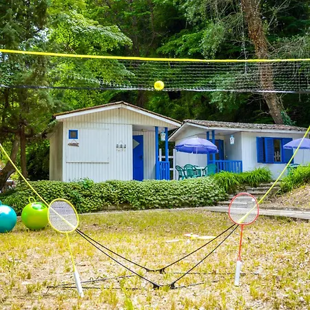 Albatross Retro Summer Campingplads *