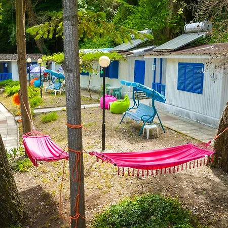 Campingplads Albatross Retro Summer *