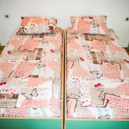 Campingplads Albatross Retro Summer *