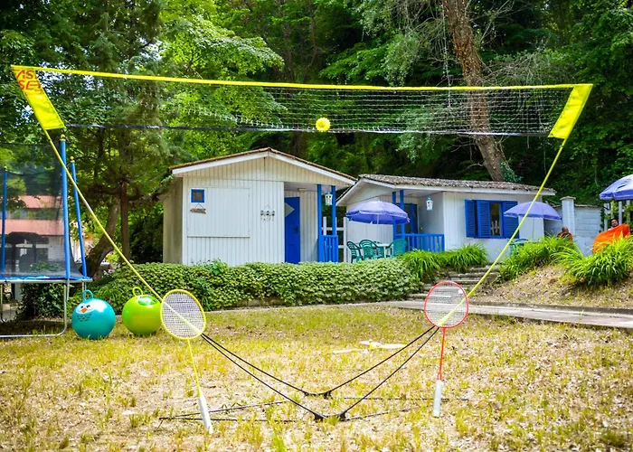 Albatross Retro Summer Campingplads *