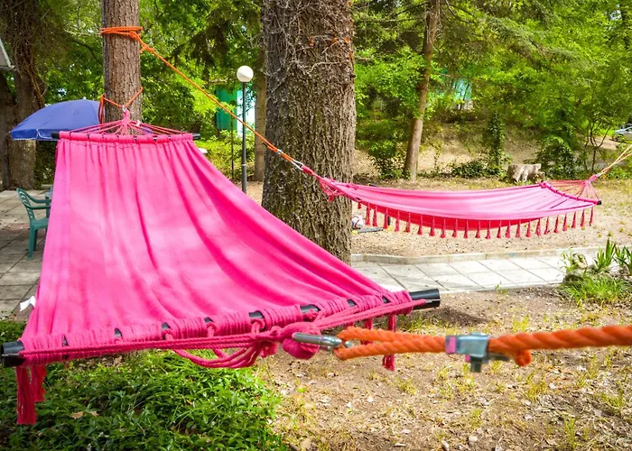 Albatross Retro Summer *