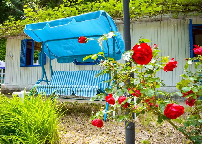 Albatross Retro Summer Campingplads