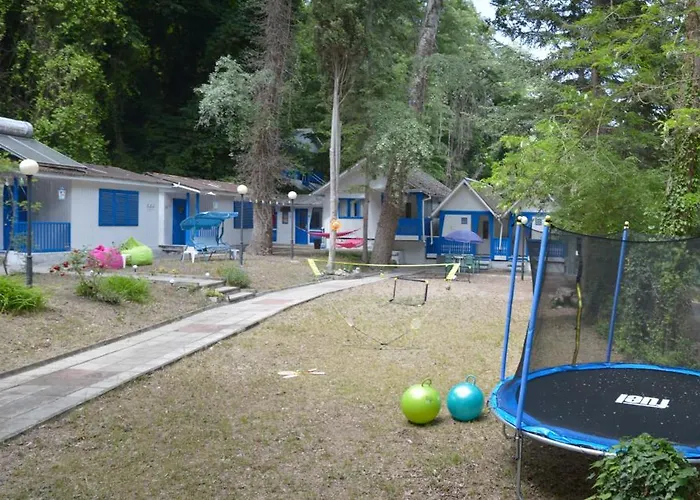 Campingplads Albatross Retro Summer *