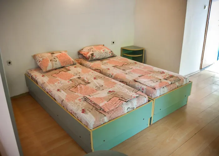 Albatross Retro Summer * Varna