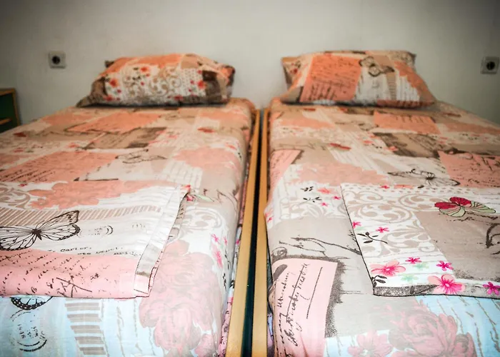 Albatross Retro Summer Varna