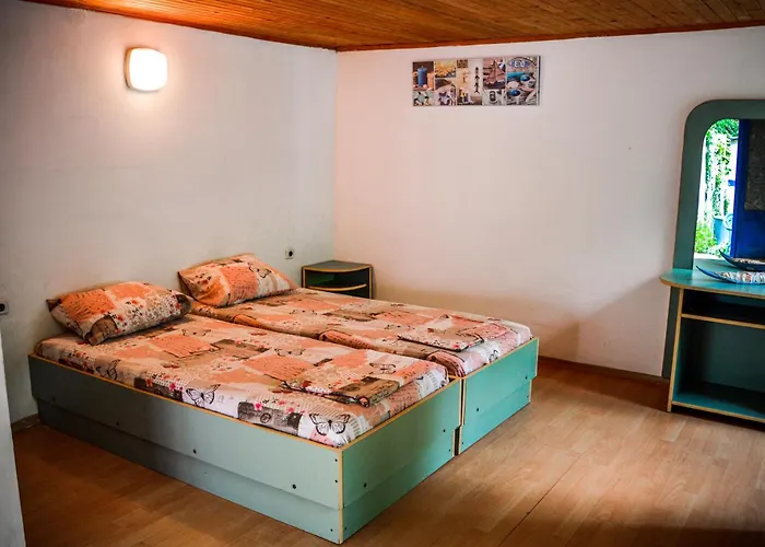 Campingplads Albatross Retro Summer