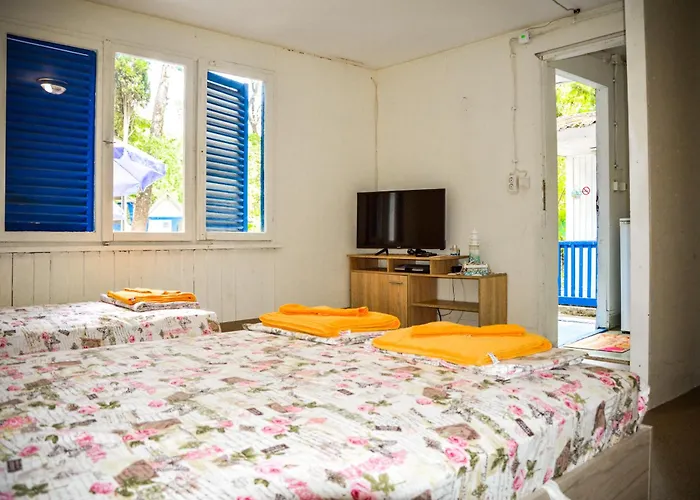 Albatross Retro Summer Campingplads