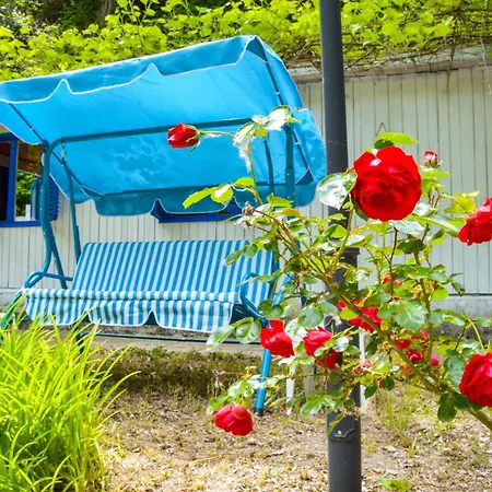 Albatross Retro Summer Campsite