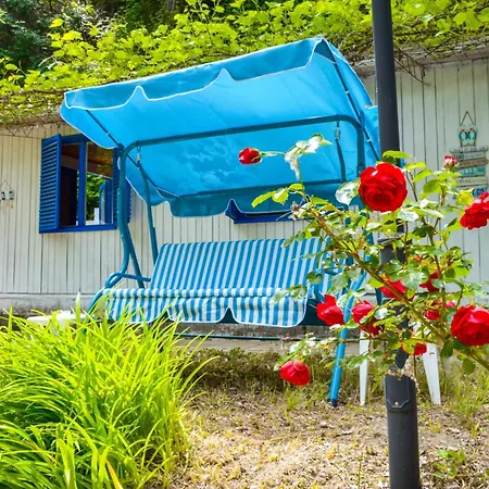Camping Albatross Retro Summer Varna