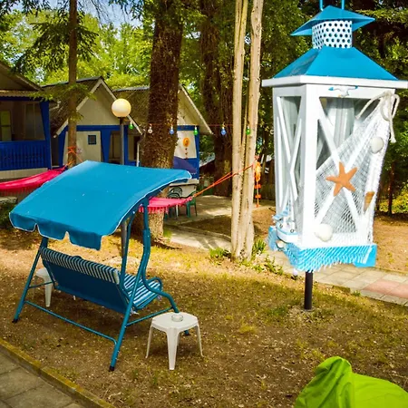 Camping Albatross Retro Summer *