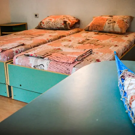 캠프장 Albatross Retro Summer *