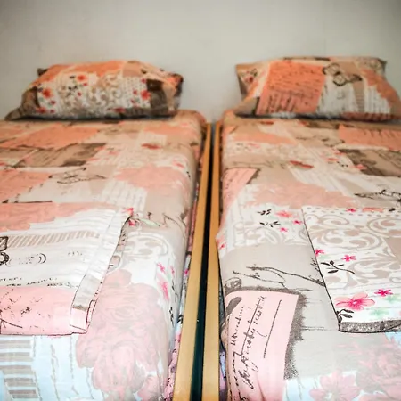 Albatross Retro Summer 바르나