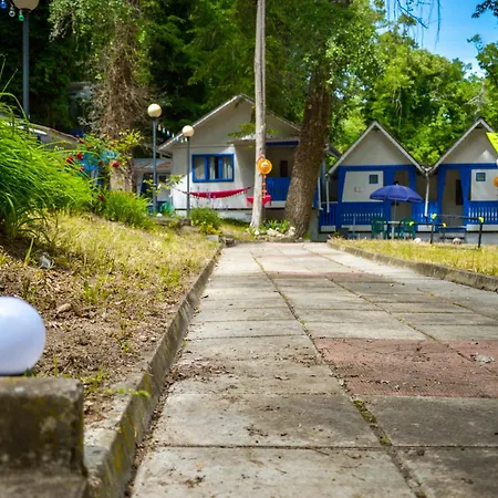 Albatross Retro Summer 캠프장 *