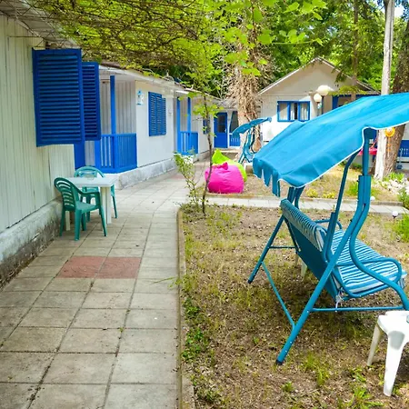 Albatross Retro Summer 캠프장