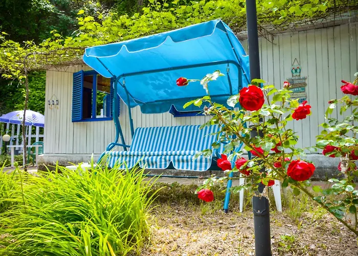 Campsite Albatross Retro Summer Varna