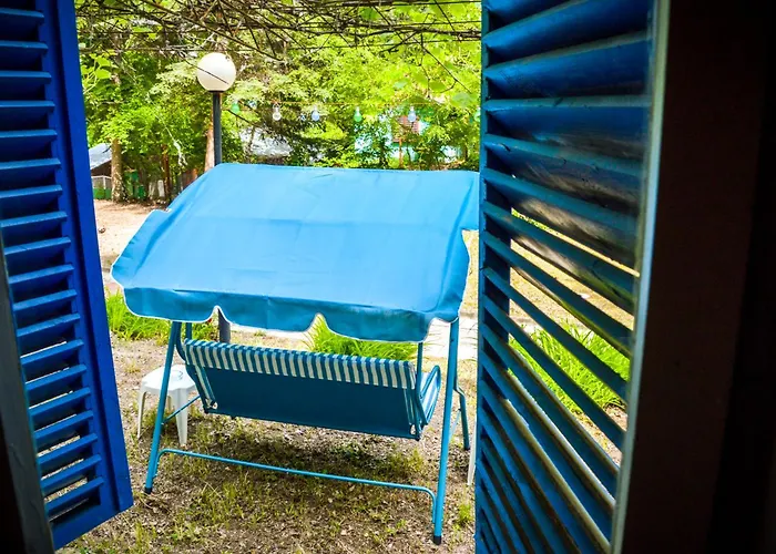 Campsite Albatross Retro Summer *