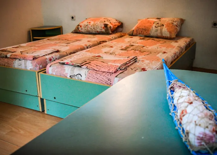 Campsite Albatross Retro Summer *