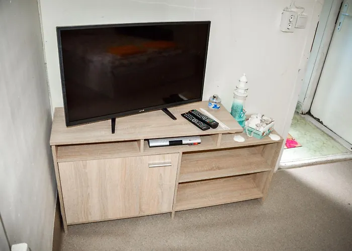 Albatross Retro Summer Campsite